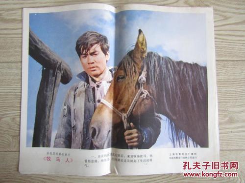 西武芸術科学大学学士证书